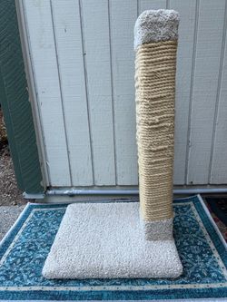 Cat Heavy Duty Scratching Post