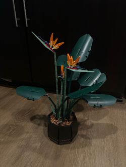 LEGO Botanical Collection Bird of Paradise (Set 10289)