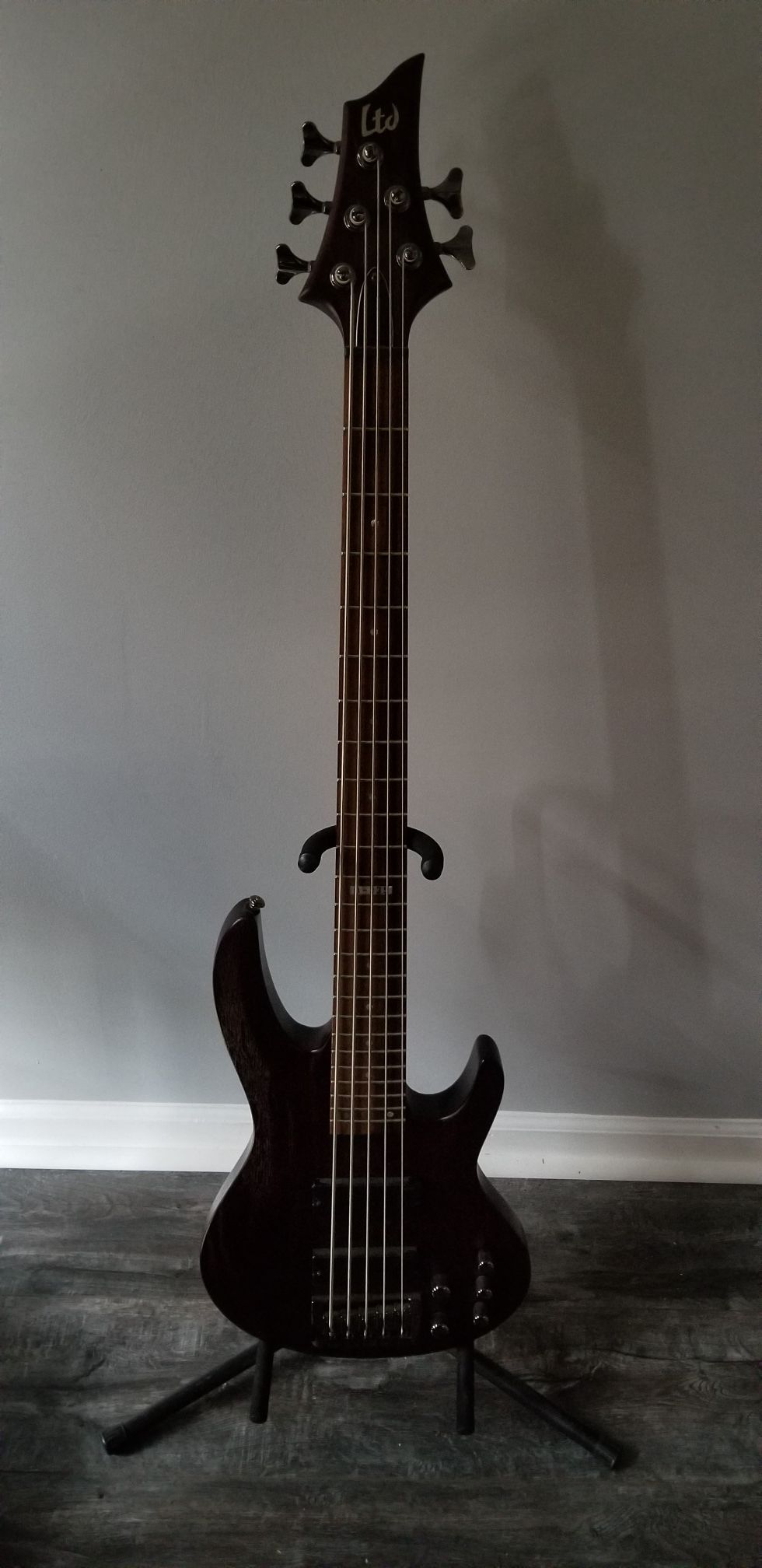 ESP LTD B-335 Bass Guitar
