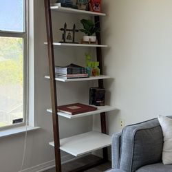 Ladder Shelf