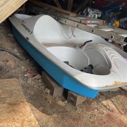 Peddle Boat With Canopy.
