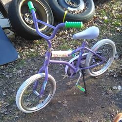 Kids Bike Purple Color Great Starter  For Little Girls 