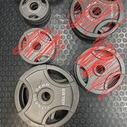 Fitness Gear Metal Weights Olympic