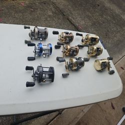 Fishing Reels 