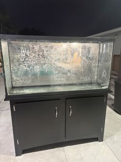 60 gallon fish tank