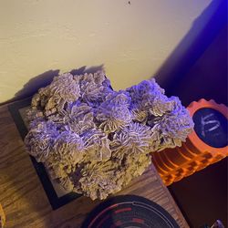 Large Crystal Barite Desert Rose