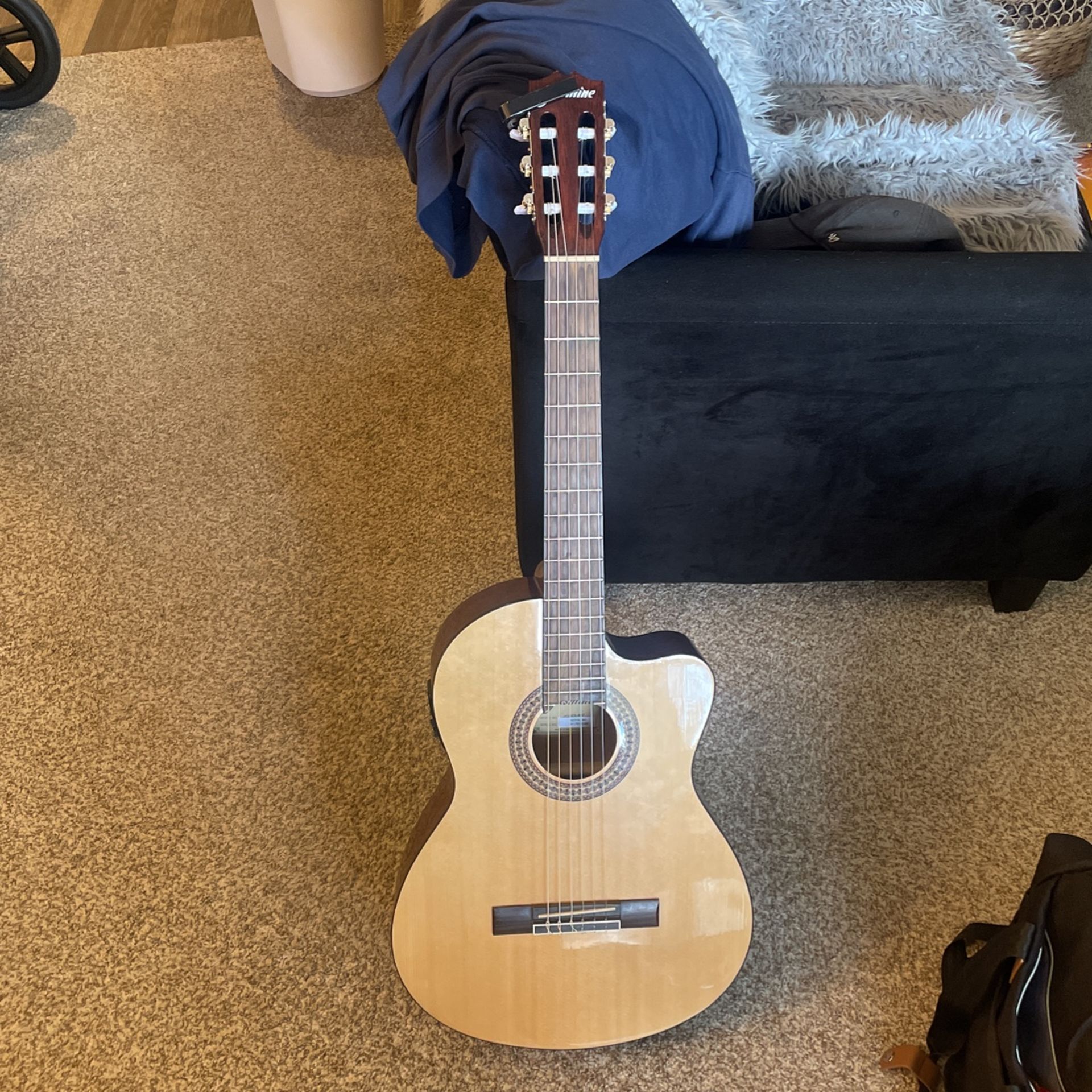 Jasmine Guitar