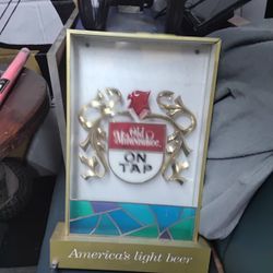 Lighted Beer Sign