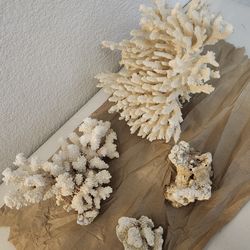 White coral