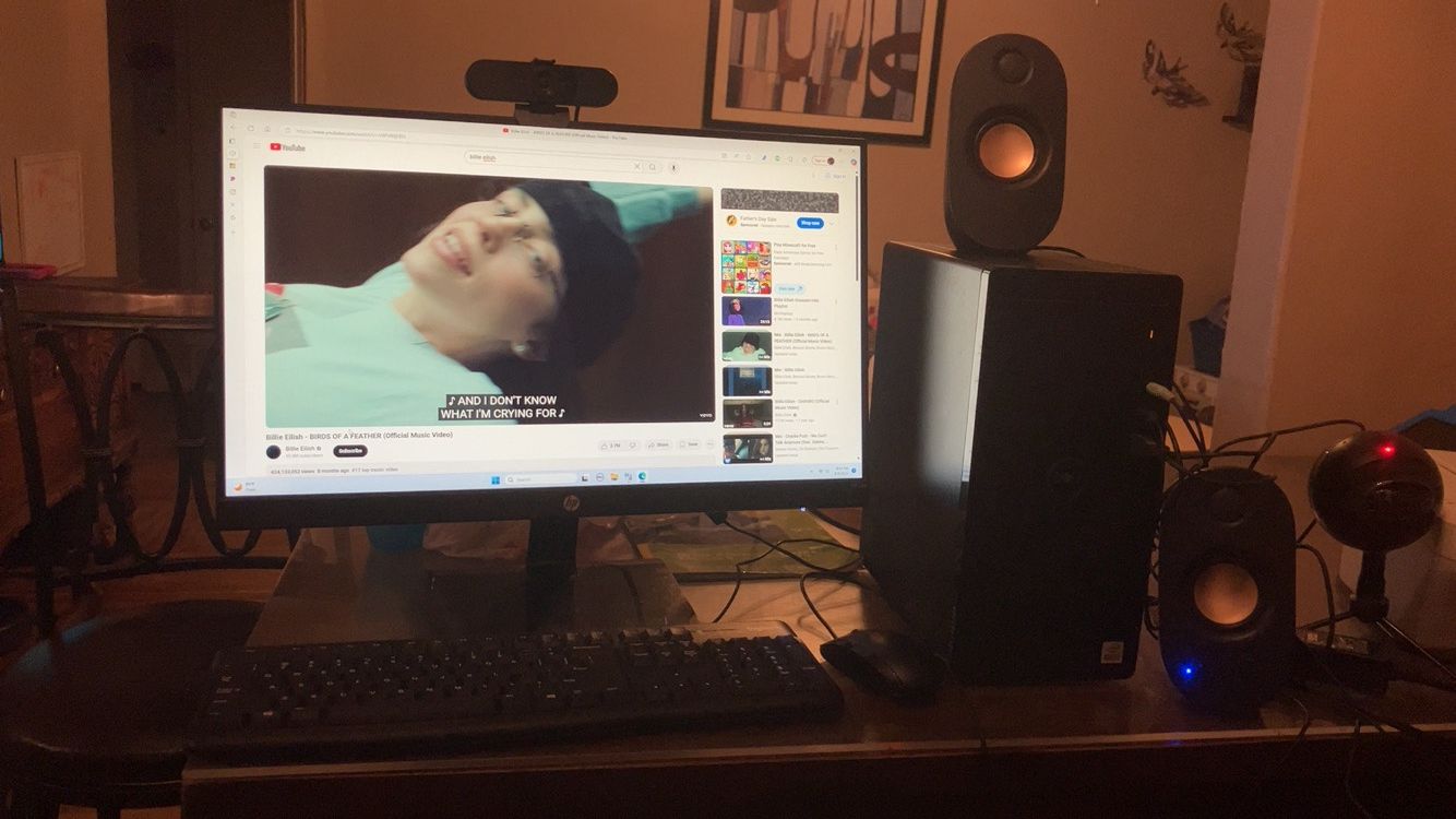 Computer Monitor-HP/PC-Dell