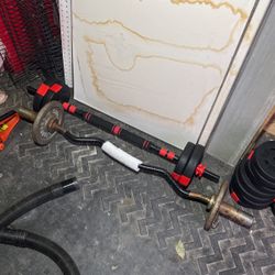 Red Barbell/dumbell + 65 Pounds Weights