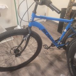 Schwinn Copeland 700