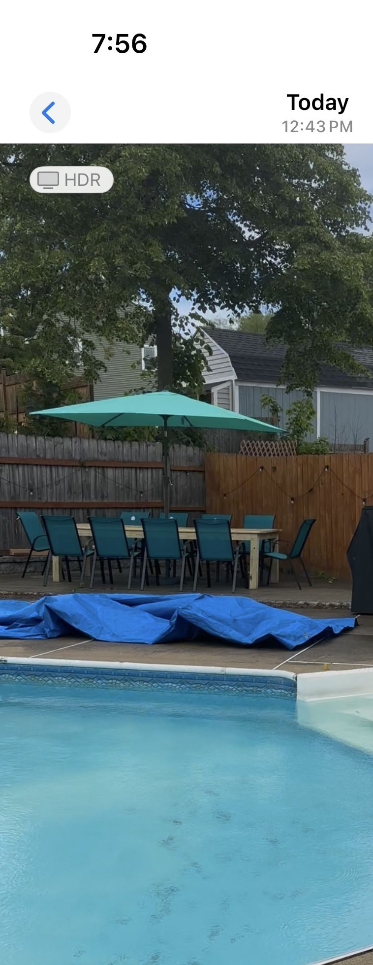 Patio Umbrella