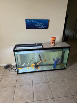 48 gallon 🐟 tank