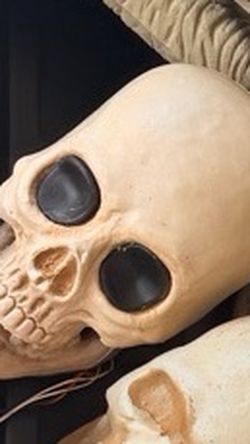 Halloween Skull Prop Small