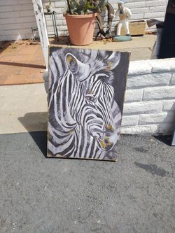 Zebra Picture