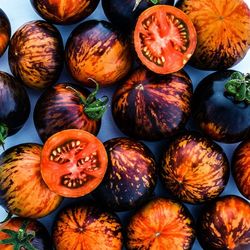 200+ Organic Tomatoe Varieties - Seedlings