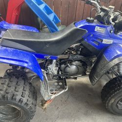 2011 Yamaha/Raptor