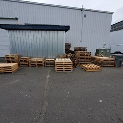 Free Pallets, Multiple Sizes