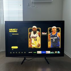 55” TV Panasonic Viera 