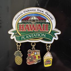 Hawaii Dole Plantation Magnet