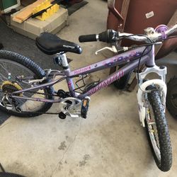 Specialized Girls Bike