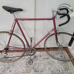 Raleigh Grand Prix Road Bike Lightweight 12 speed 64cm Bicycle for Sale in Brooklyn NY OfferUp