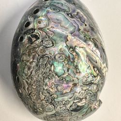 Vintage Abalone Shell Paua Very Rare and Unique POLISHED ON BOTH SIDES 6.5” x 5”