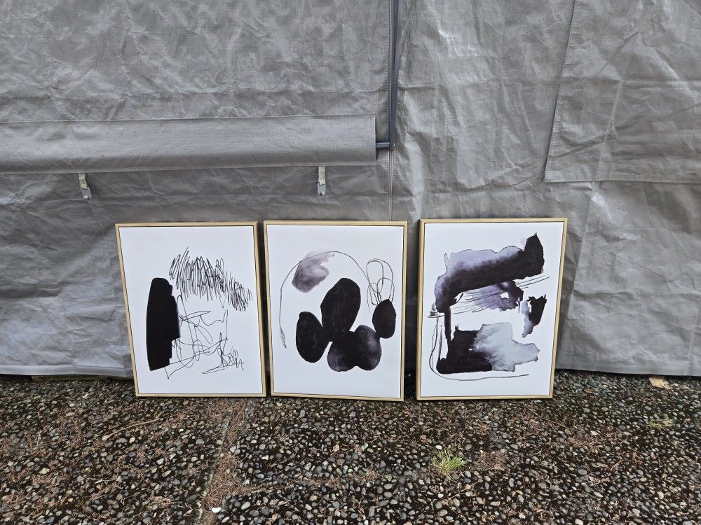 Picture Canvas Wall Decor Set Of 3