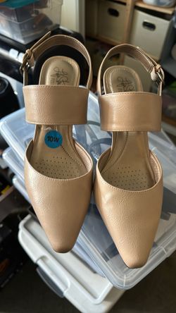 Shoe Size10W