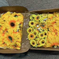 Sunflower clips