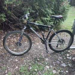 1999 Rocky Mountain Bike Model Spice 