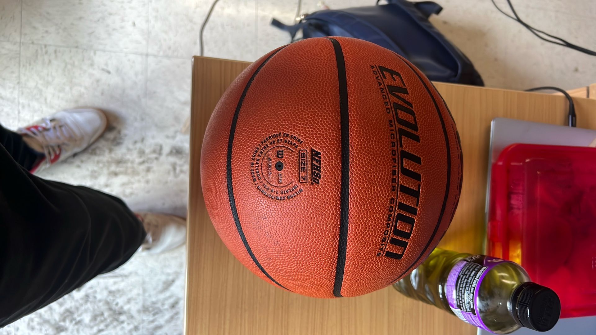 Wilson Basketball (Evolution)