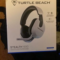 Turtle Beach Headset