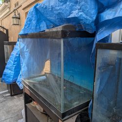 Fish Tanks For Sale 