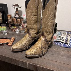 Python Skin Cowboy Boots 8