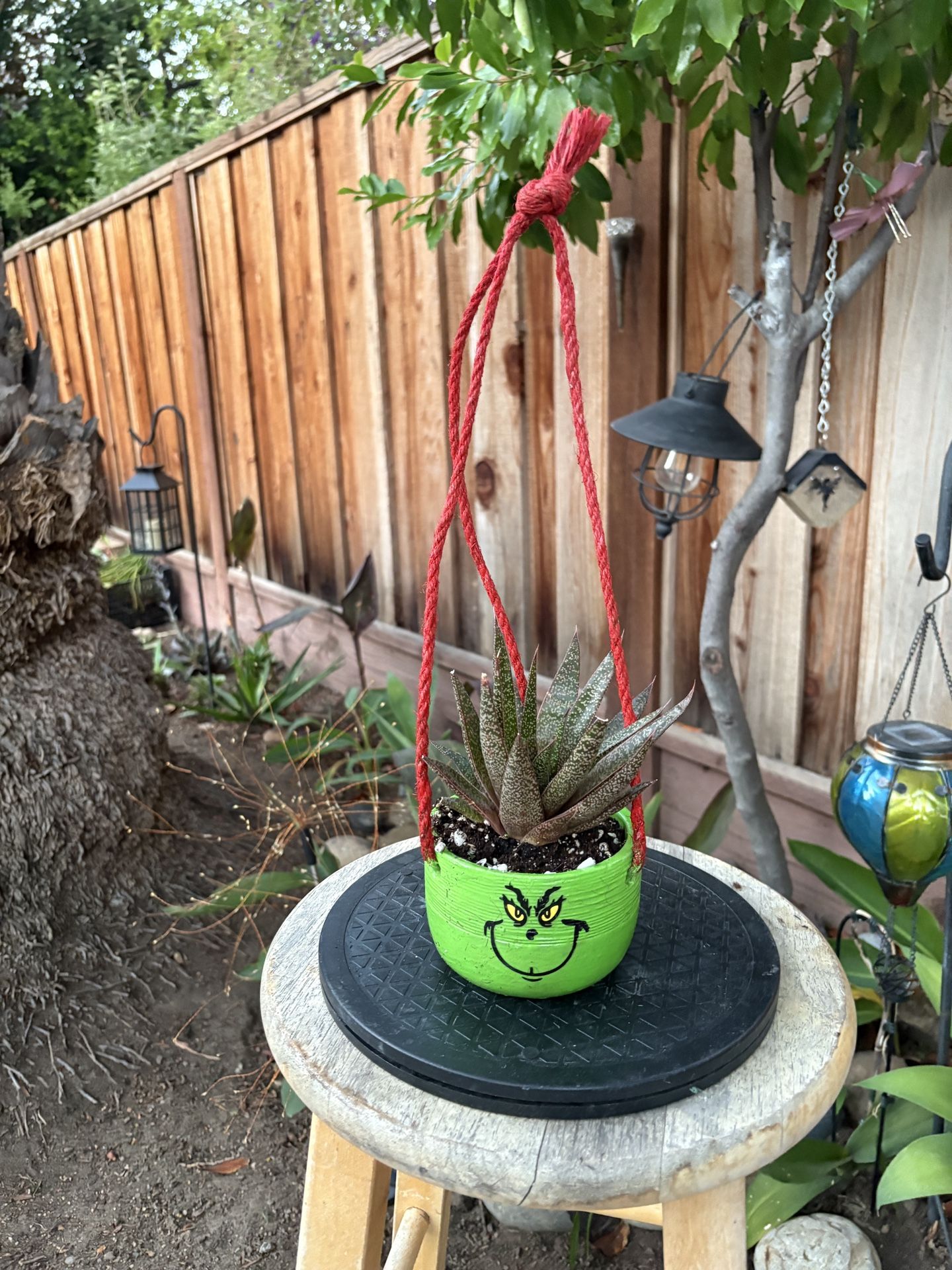 Hanging Grinch Succulent Planter!