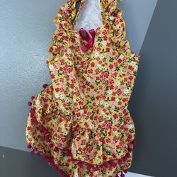 Dog Clothes/Costumes