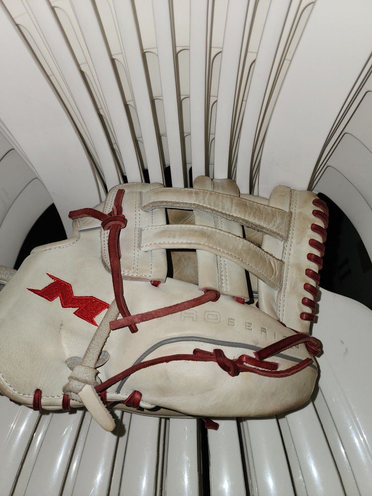 Softball Bat / Glove