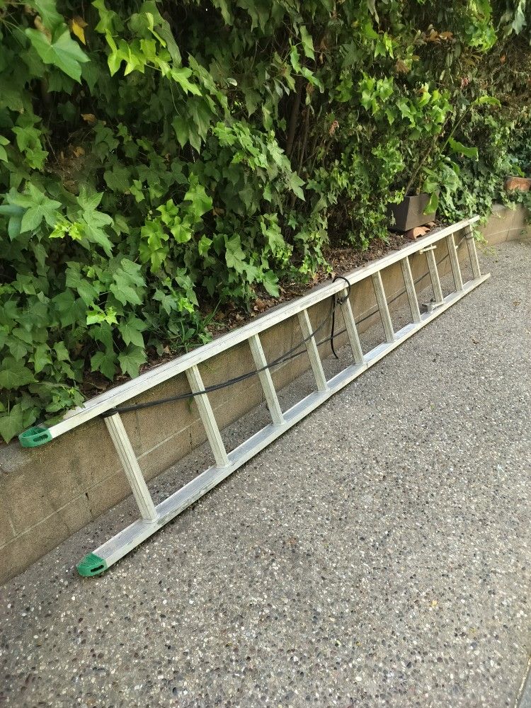 Leadder 6 Ft.