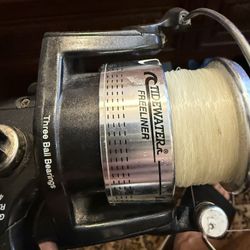 Tidewater Free liner. With Rod