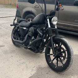 2019 Harley Davidson Sportster