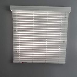 Window Blinds and Shutters