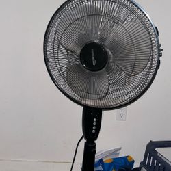 Fan