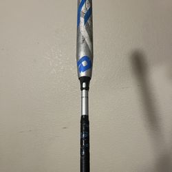 Softball Bat 
