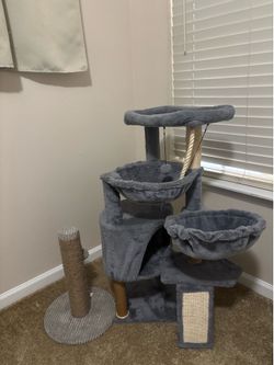 Cat scratcher and Tower
