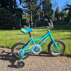 12 Inch Kids Bike 