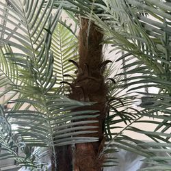 Two 9’ Artificial Palms  