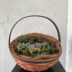 Succulent Basket 