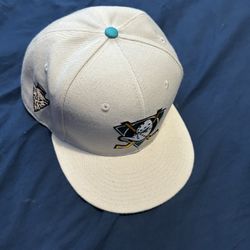 Ducks Hat